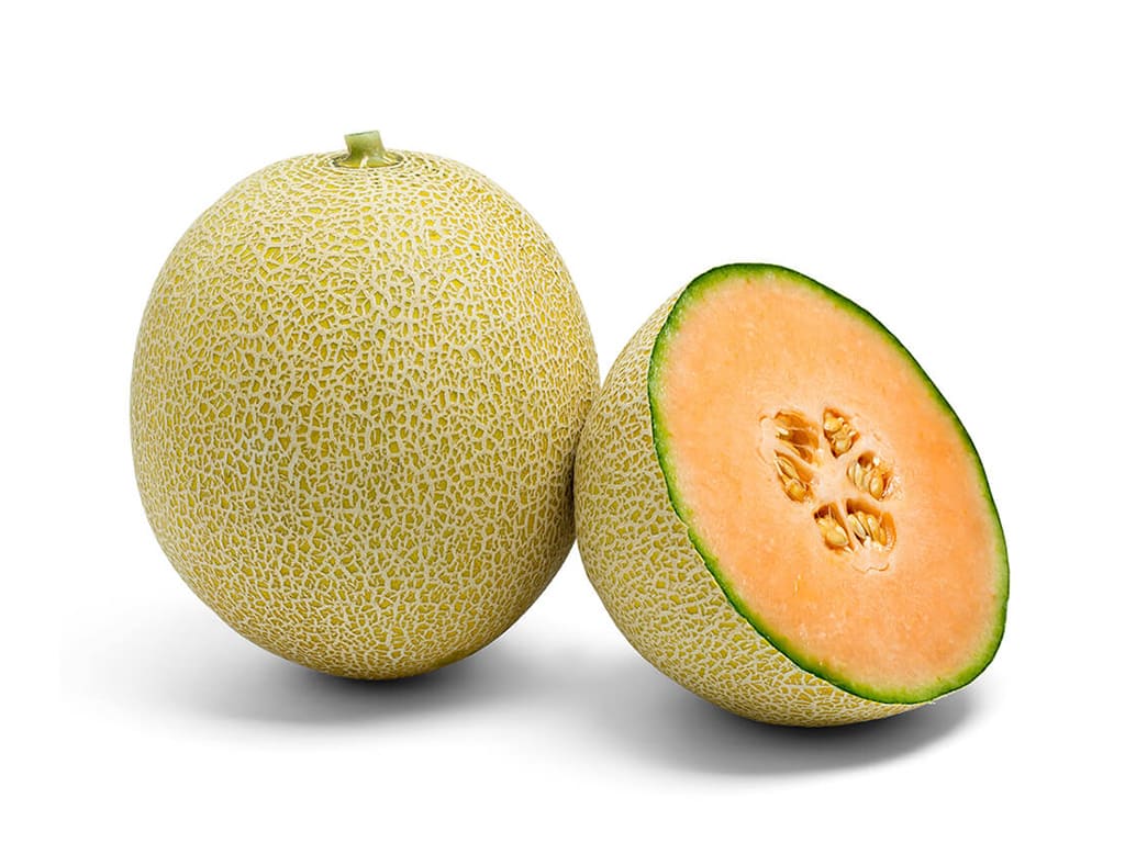 Cantalupe melon (Harper)