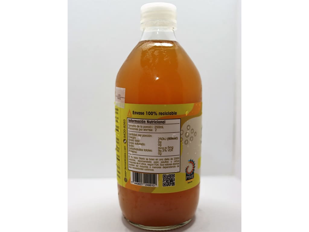 Vita Booch Kombucha Jengibre.Limón