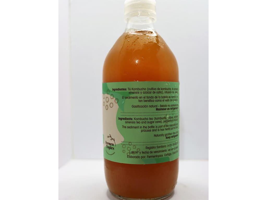 Vita Booch Kombucha sabor Menta