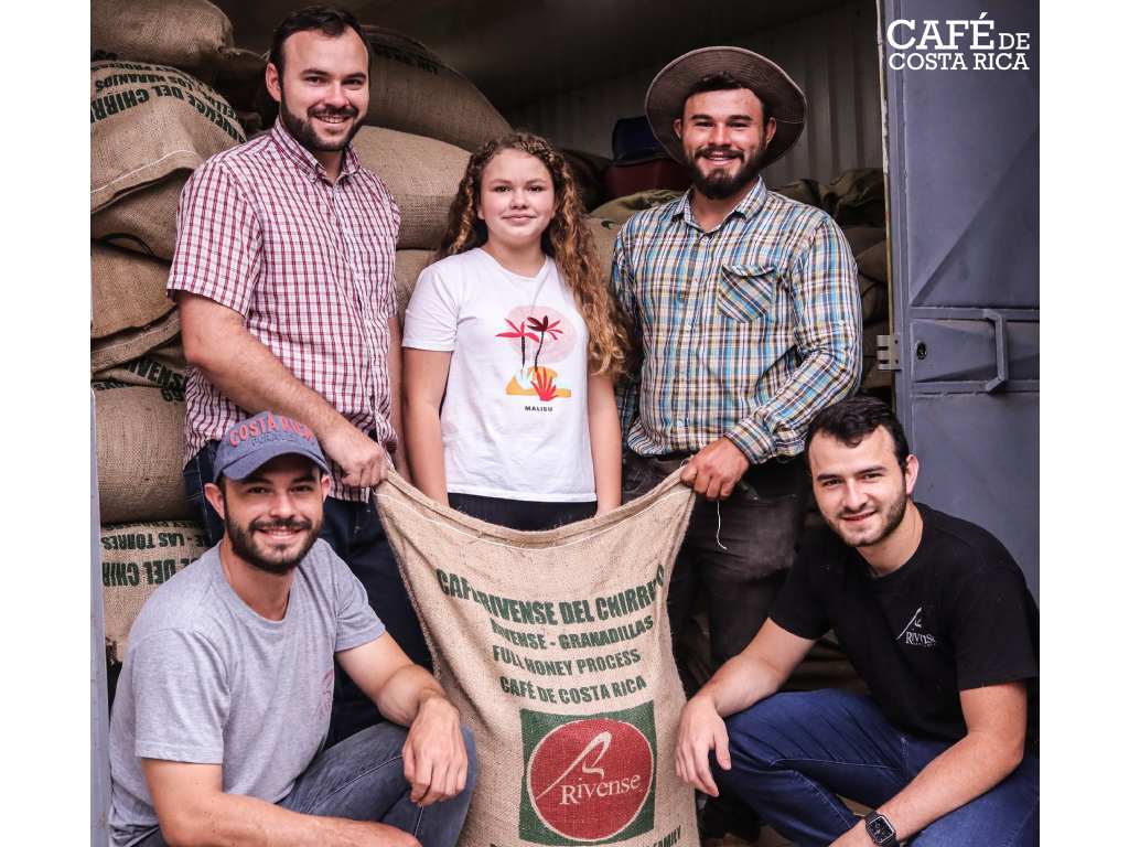 Café verde de especialidad, en procesos full honey, natural y fermentación controlada
