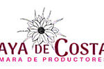 Camara de Produtores de Pitahaya de Costa Rica