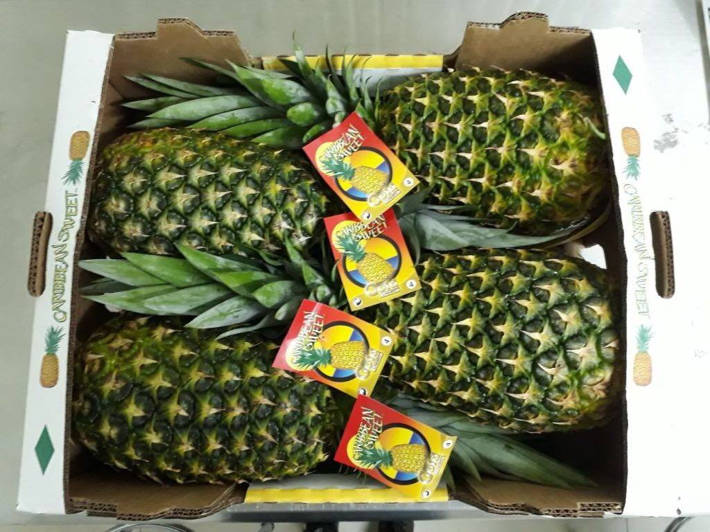 Fresh pineapples