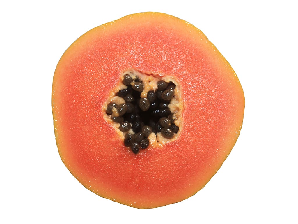 PAPAYA FRESCA