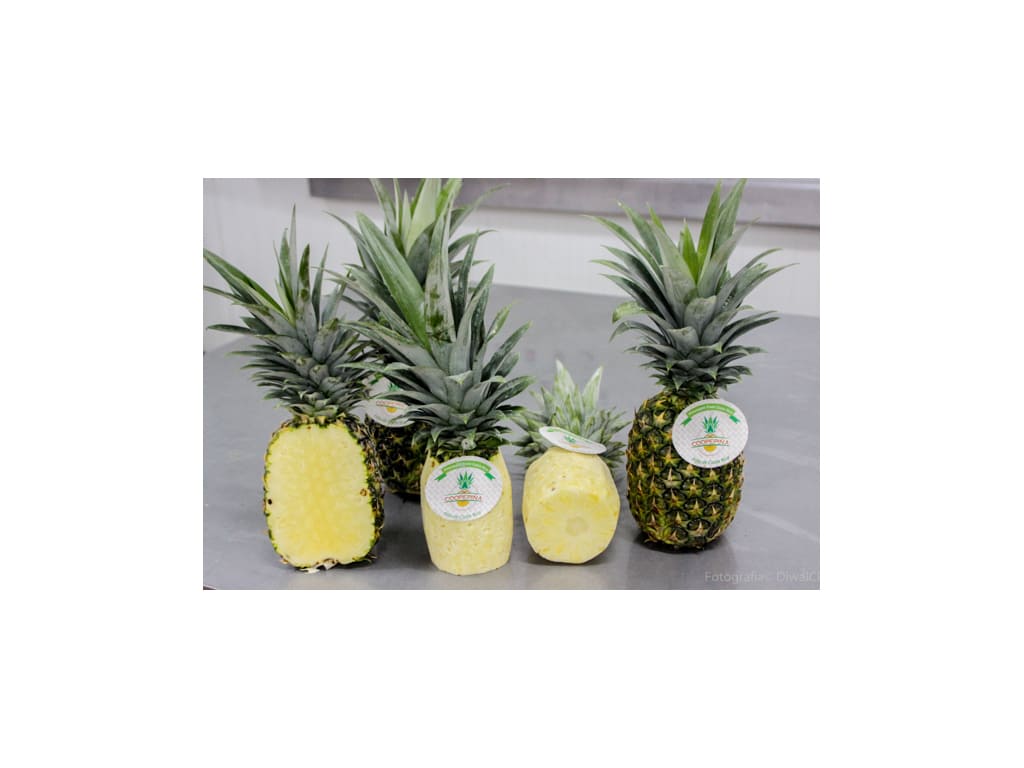 Piña fresca