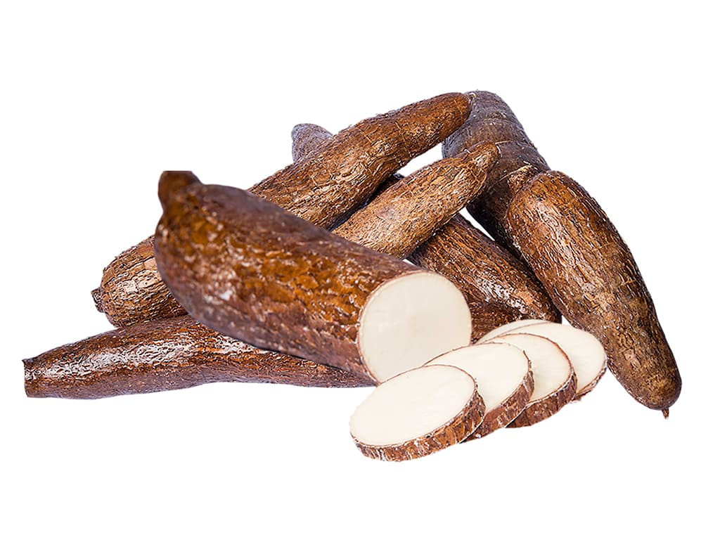 YUCA(cassava)