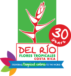 Del Rio Exotic Flowers