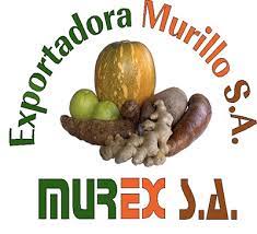 Exportadora Murillo SA