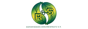 Exportadora R&S Ornamentales S.A.