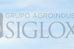 Grupo Agroindustrial Siglo XXI