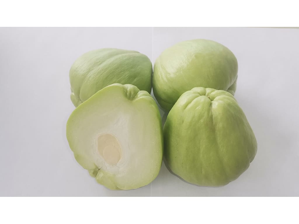 Chayote (Sechium Edule)