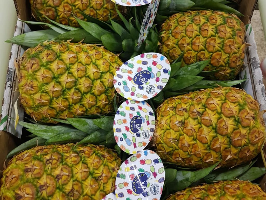 fresh pineapple