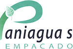 Paniagua S.A