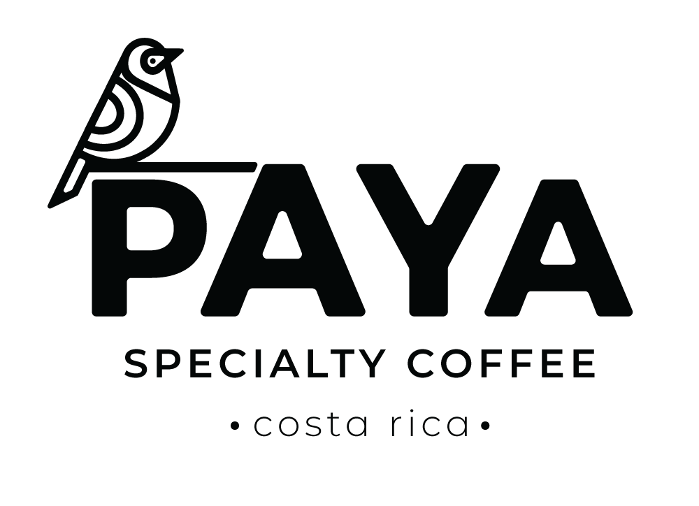 Paya Specialty Coffee