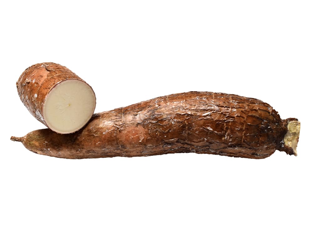 Fresh Cassava