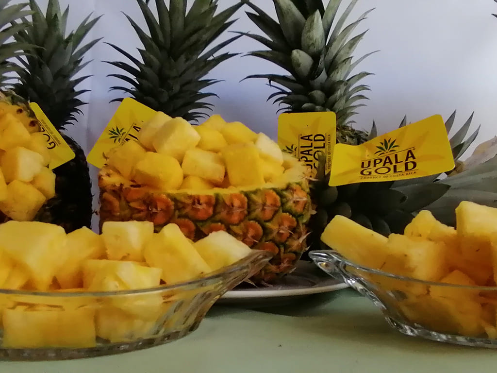 Fresh Pineapple MD-2