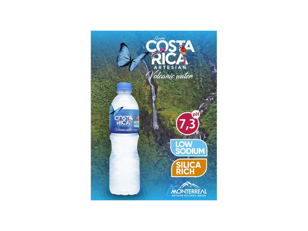 Agua Artesiana 100% natural, 500ml