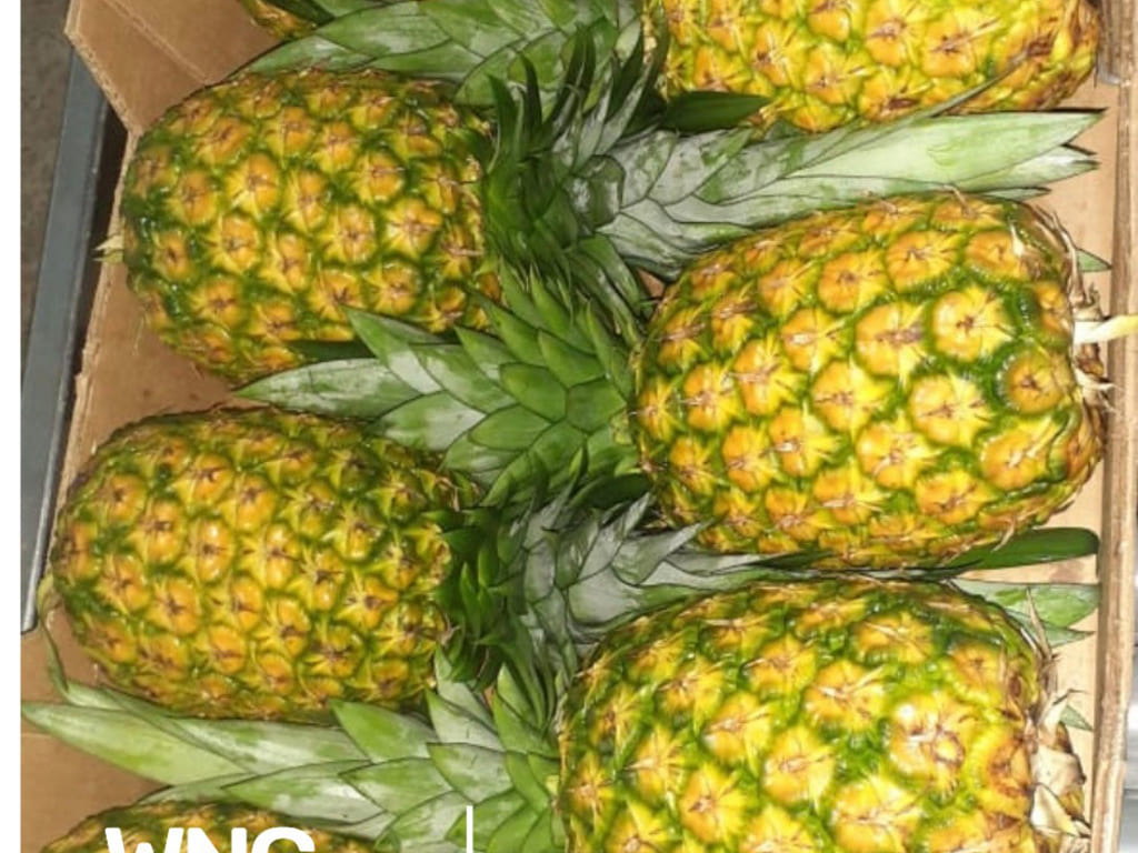 Pineapple