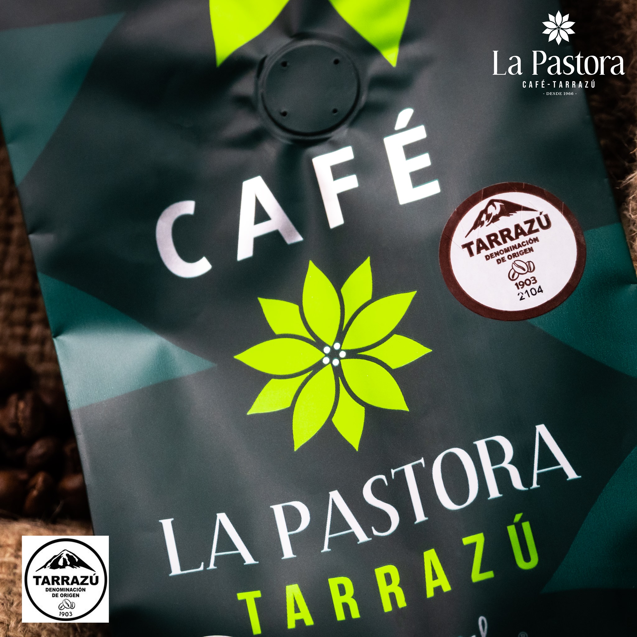 Café La Pastora Tarrazú