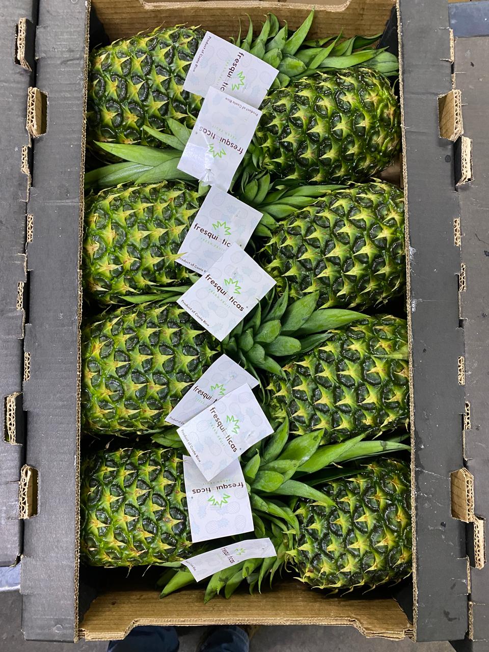 Fresh pineapple